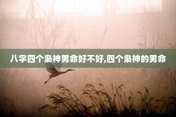 八字四个枭神男命好不好,四个枭神的男命