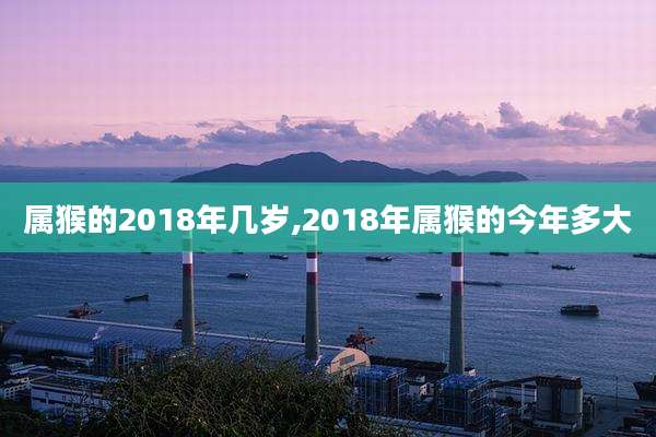 属猴的2018年几岁,2018年属猴的今年多大
