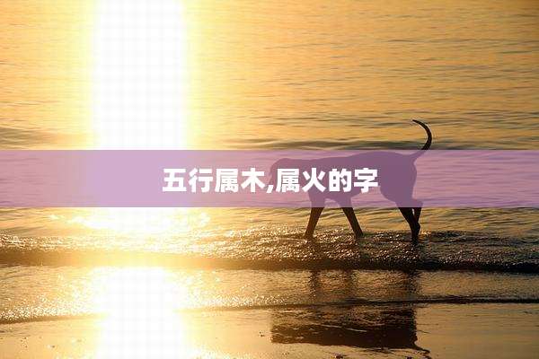 五行属木,属火的字