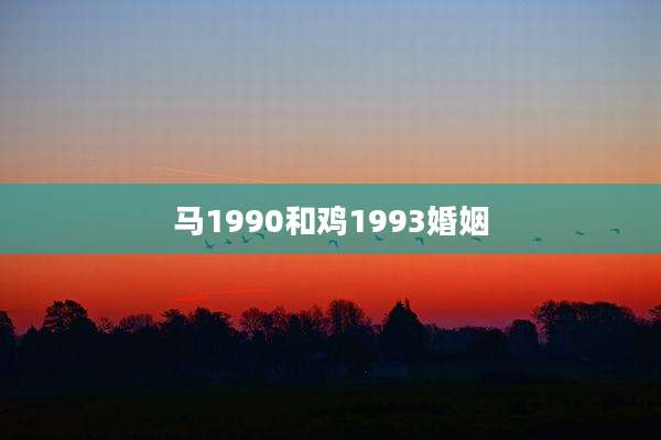 马1990和鸡1993婚姻