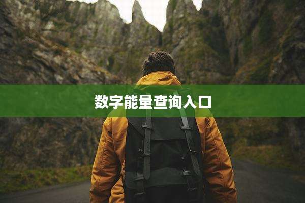 数字能量查询入口