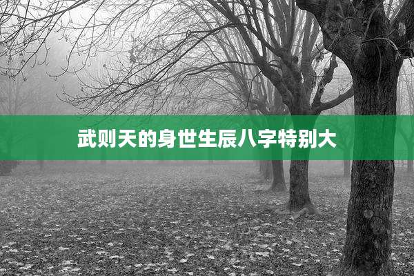 武则天的身世生辰八字特别大