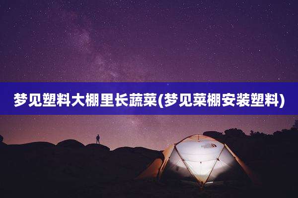 梦见塑料大棚里长蔬菜(梦见菜棚安装塑料)