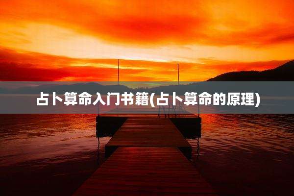 占卜算命入门书籍(占卜算命的原理)