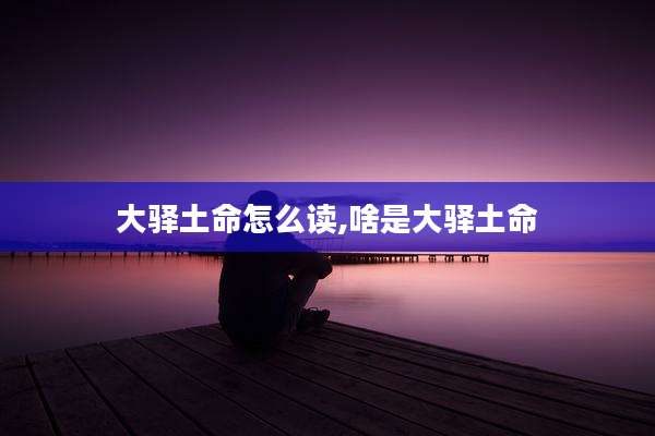 大驿土命怎么读,啥是大驿土命