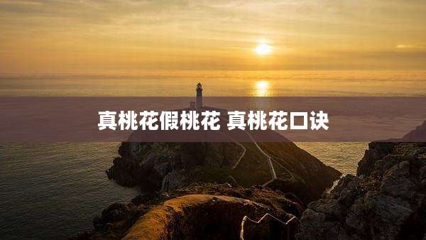 真桃花假桃花 真桃花口诀