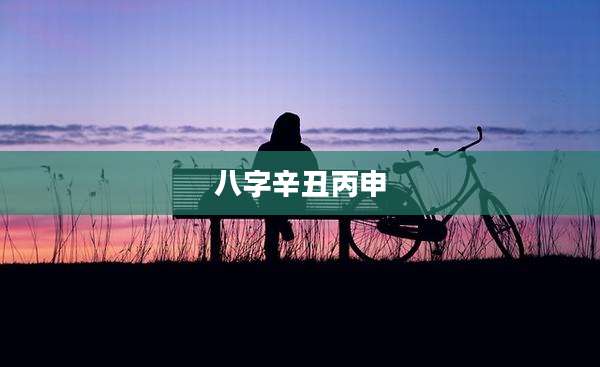 八字辛丑丙申