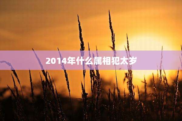 2014年什么属相犯太岁