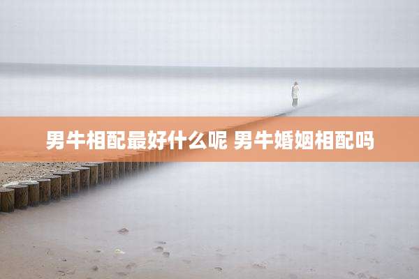 男牛相配最好什么呢 男牛婚姻相配吗