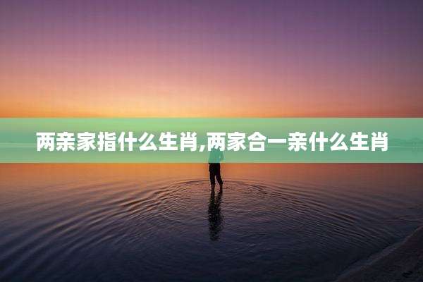 两亲家指什么生肖,两家合一亲什么生肖