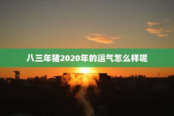 八三年猪2020年的运气怎么样呢
