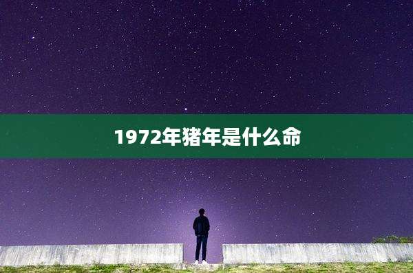 1972年猪年是什么命