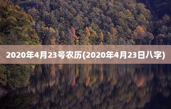 2020年4月23号农历(2020年4月23日八字)