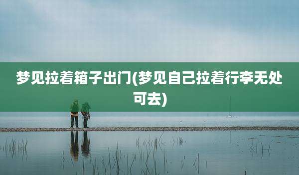梦见拉着箱子出门(梦见自己拉着行李无处可去)
