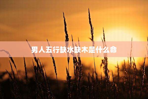 男人五行缺水缺木是什么命