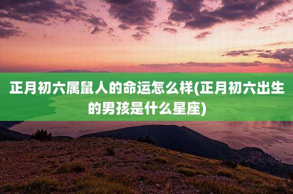 正月初六属鼠人的命运怎么样(正月初六出生的男孩是什么星座)