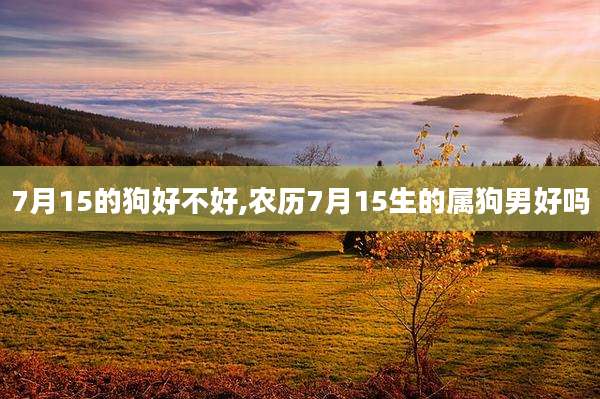 7月15的狗好不好,农历7月15生的属狗男好吗