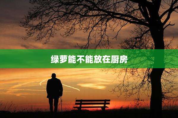 绿萝能不能放在厨房