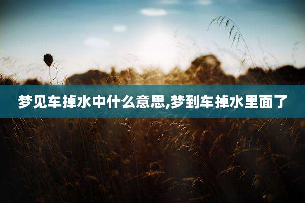 梦见车掉水中什么意思,梦到车掉水里面了