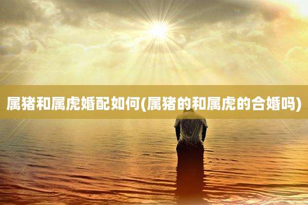 属猪和属虎婚配如何(属猪的和属虎的合婚吗)