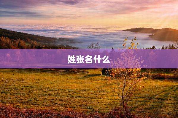 姓张名什么