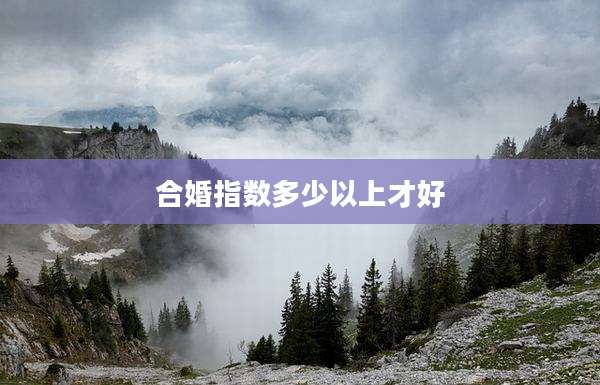 合婚指数多少以上才好