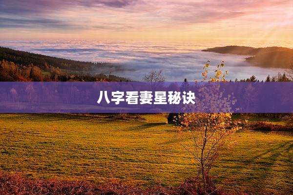 八字看妻星秘诀