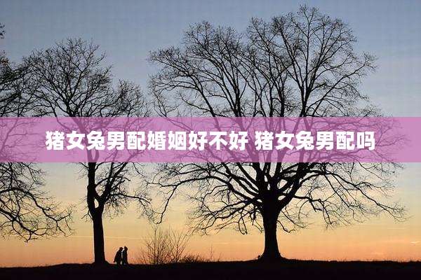 猪女兔男配婚姻好不好 猪女兔男配吗