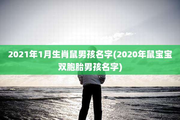 2021年1月生肖鼠男孩名字(2020年鼠宝宝双胞胎男孩名字)