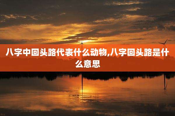 八字中回头路代表什么动物,八字回头路是什么意思