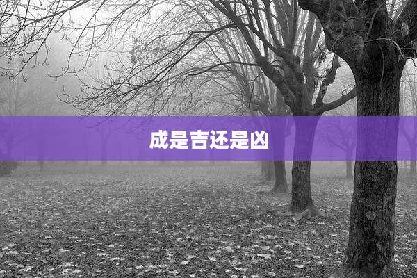 成是吉还是凶