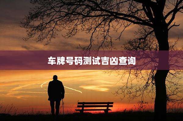车牌号码测试吉凶查询