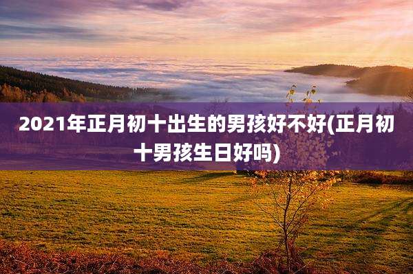 2021年正月初十出生的男孩好不好(正月初十男孩生日好吗)
