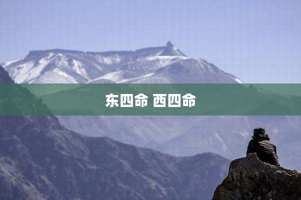东四命 西四命