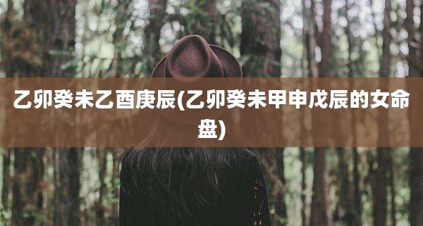 乙卯癸未乙酉庚辰(乙卯癸未甲申戊辰的女命盘)