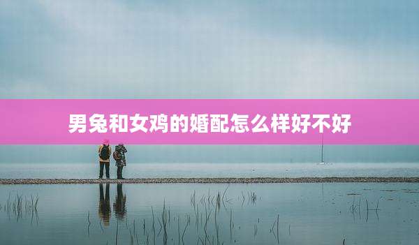 男兔和女鸡的婚配怎么样好不好