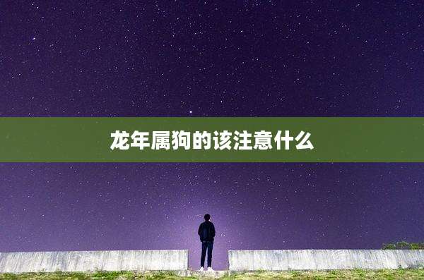 龙年属狗的该注意什么