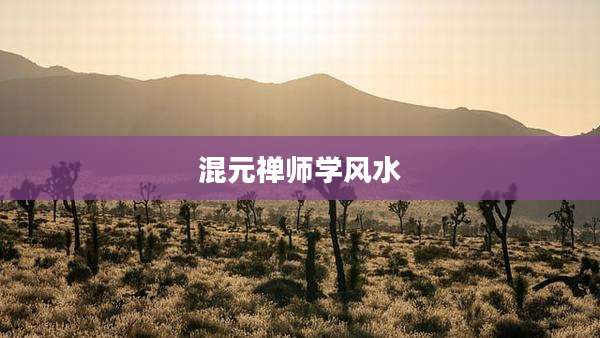 混元禅师学风水