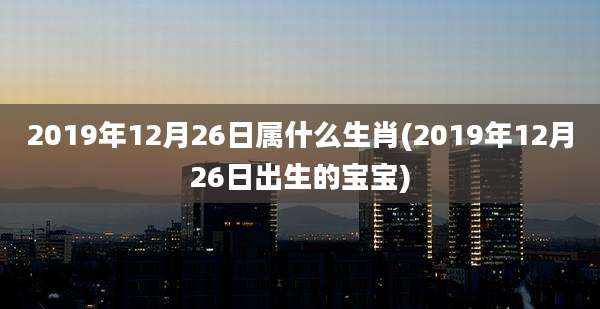 2019年12月26日属什么生肖(2019年12月26日出生的宝宝)