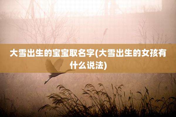 大雪出生的宝宝取名字(大雪出生的女孩有什么说法)
