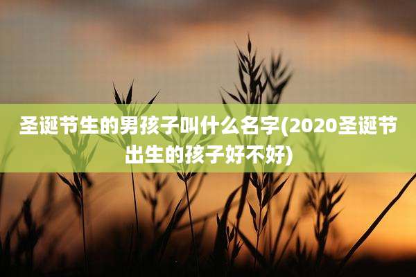 圣诞节生的男孩子叫什么名字(2020圣诞节出生的孩子好不好)