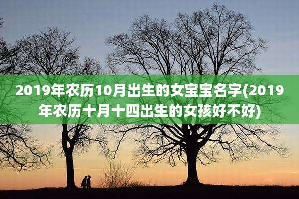 2019年农历10月出生的女宝宝名字(2019年农历十月十四出生的女孩好不好)
