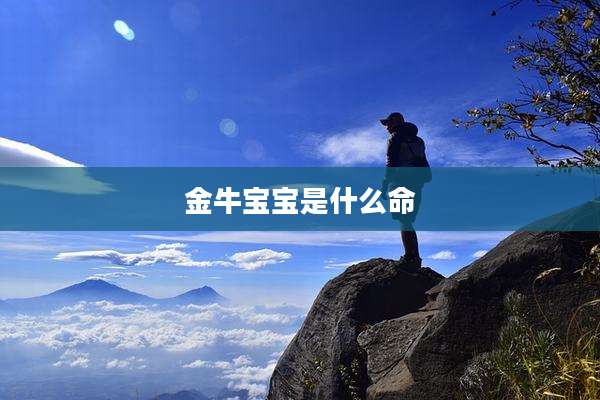 金牛宝宝是什么命