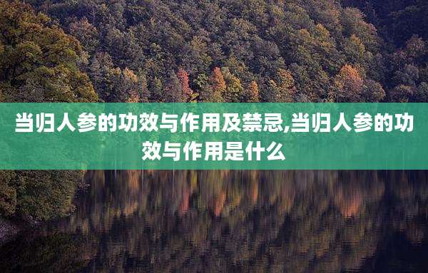 当归人参的功效与作用及禁忌,当归人参的功效与作用是什么