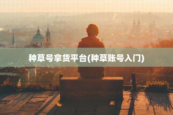 种草号拿货平台(种草账号入门)
