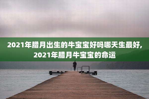 2021年腊月出生的牛宝宝好吗哪天生最好,2021年腊月牛宝宝的命运