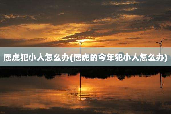 属虎犯小人怎么办(属虎的今年犯小人怎么办)