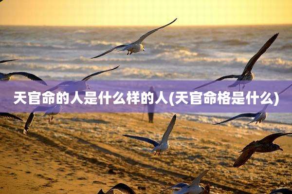 天官命的人是什么样的人(天官命格是什么)