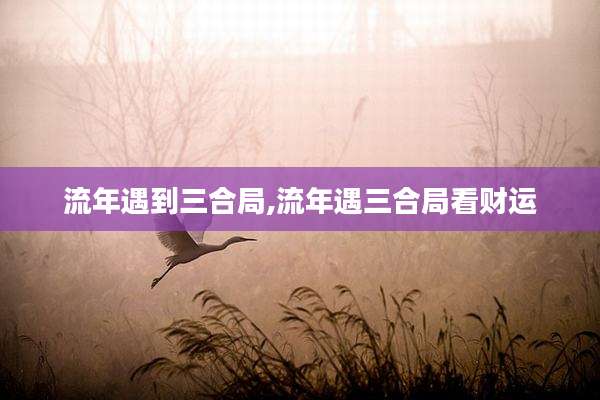 流年遇到三合局,流年遇三合局看财运