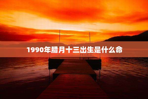 1990年腊月十三出生是什么命